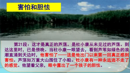 17《孤独之旅》课件