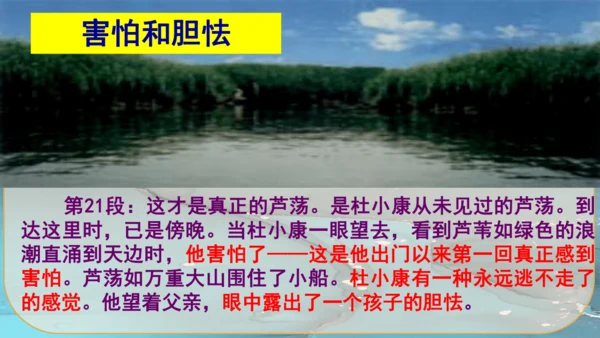17《孤独之旅》课件