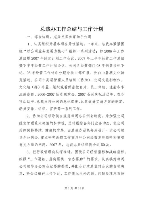 总裁办工作总结与工作计划.docx