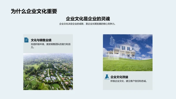 企业文化与销售力