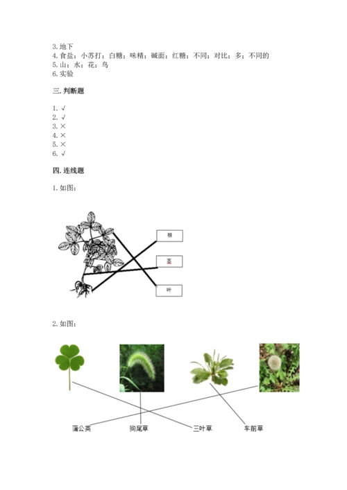 教科版科学一年级上册第一单元《植物》测试卷及完整答案【名师系列】.docx