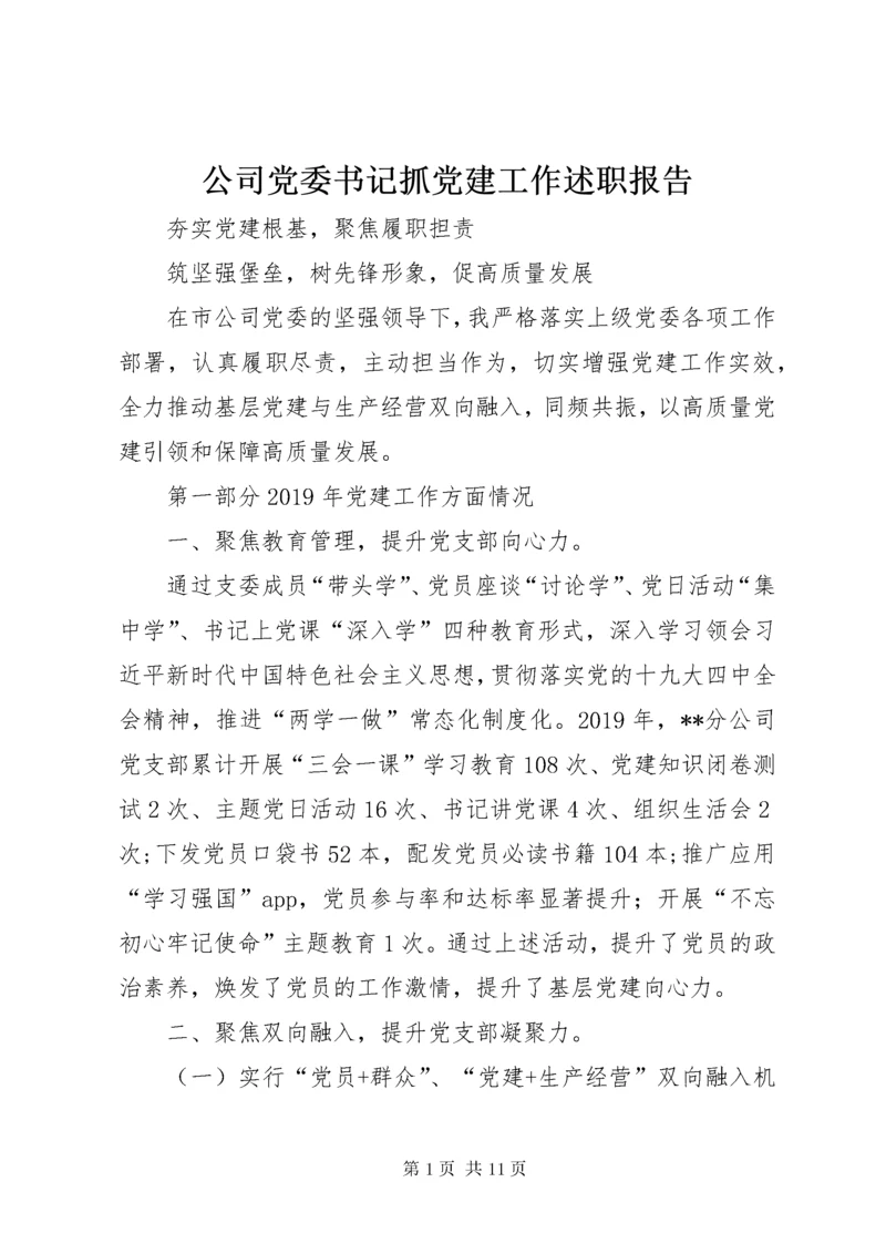 公司党委书记抓党建工作述职报告.docx