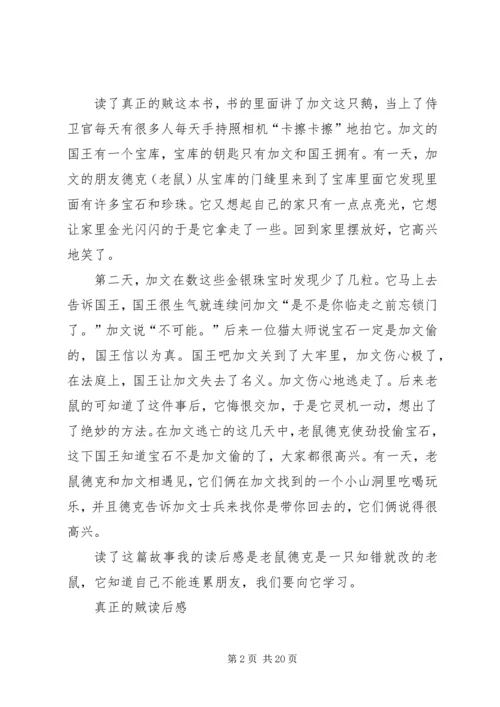 真正的贼读后感.docx