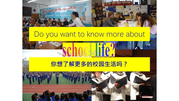 Module 8 Unit 2 There are lots of games. 课件(共39张PP