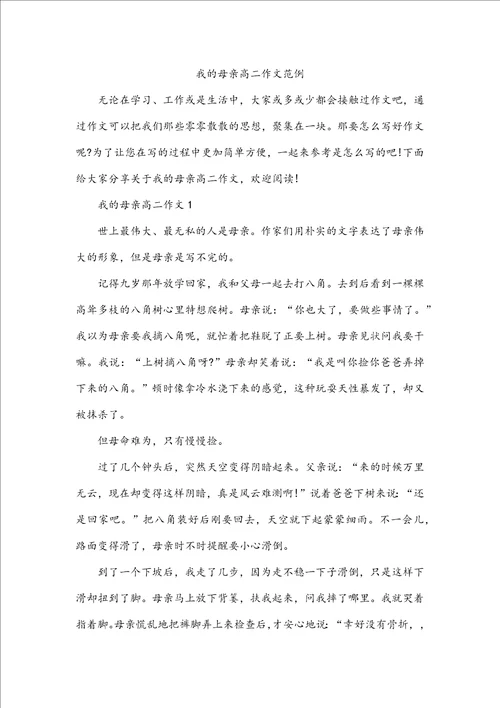 我的母亲高二作文范例