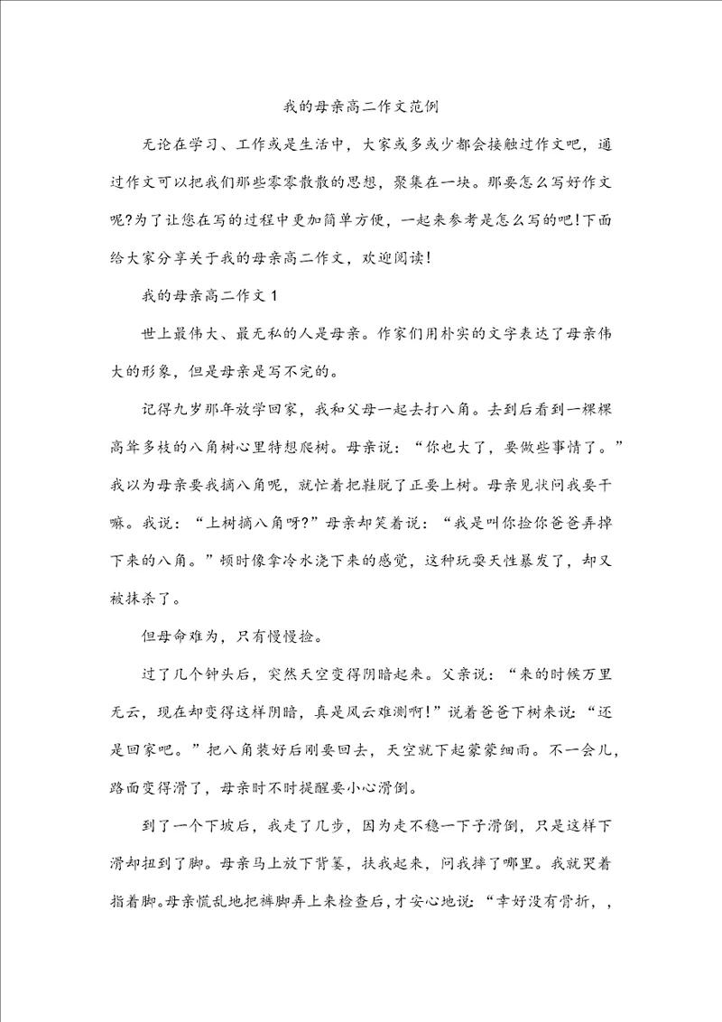 我的母亲高二作文范例
