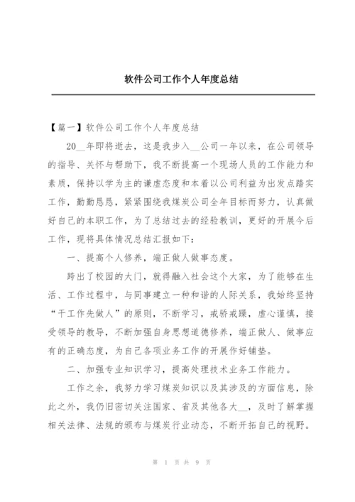 软件公司工作个人年度总结.docx