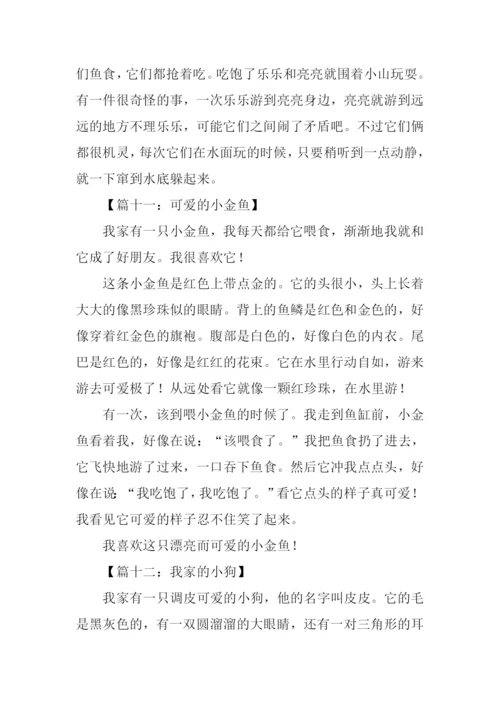 小动物作文150字.docx