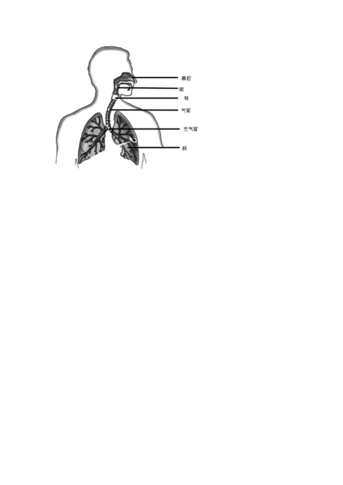 教科版四年级上册科学期末测试卷精品【实用】.docx