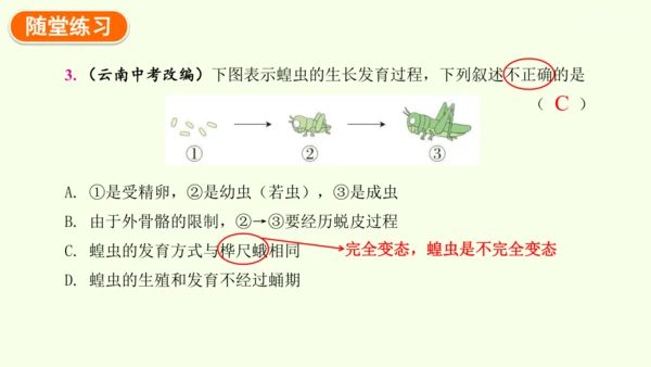 7.1.2昆虫的生殖和发育-八年级生物人教版下学期同步精品课件(共29张PPT)