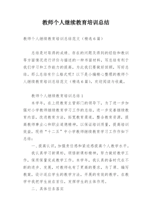 教师个人继续教育培训总结.docx