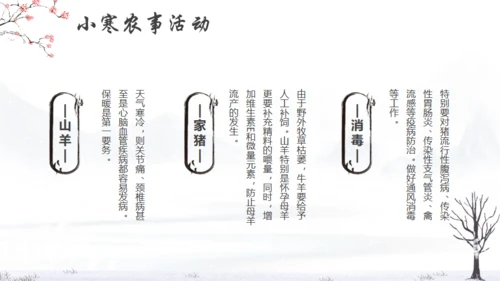 小寒冬天节气通用PPT模版