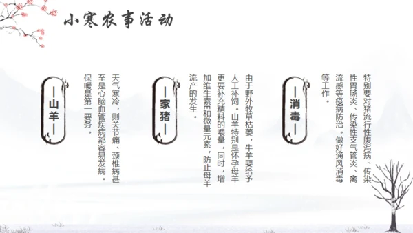 小寒冬天节气通用PPT模版