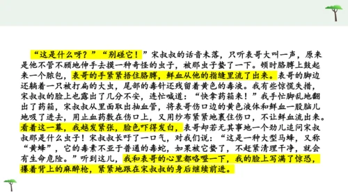 部编版语文五下第六单元习作神奇的探险之旅  课件