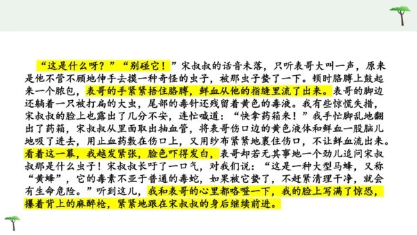 部编版语文五下第六单元习作神奇的探险之旅  课件