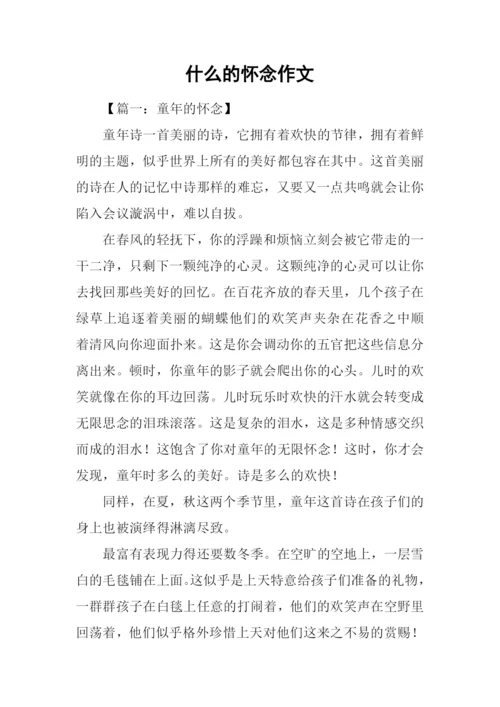 什么的怀念作文.docx