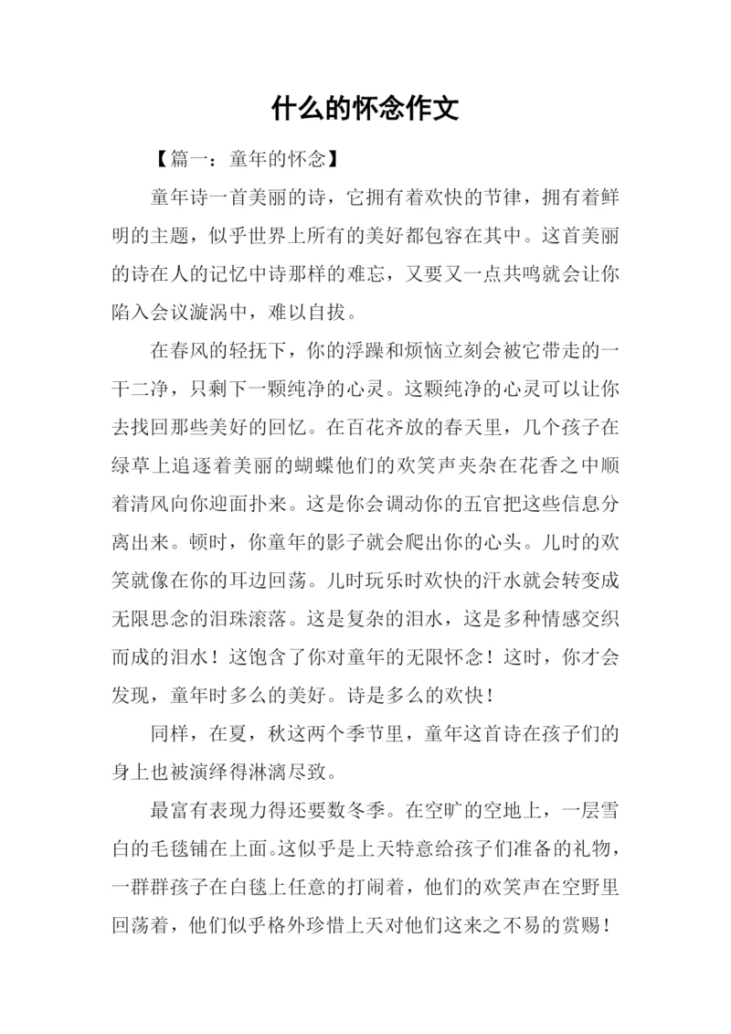 什么的怀念作文.docx