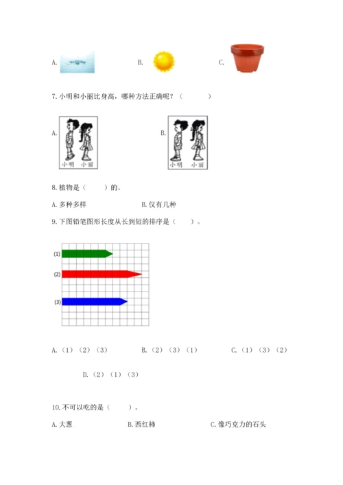 教科版一年级上册科学期末测试卷【全国通用】.docx