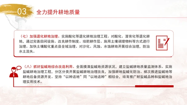 关于加强耕地保护提升耕地质量完善占补平衡的意见全文学习PPT课件