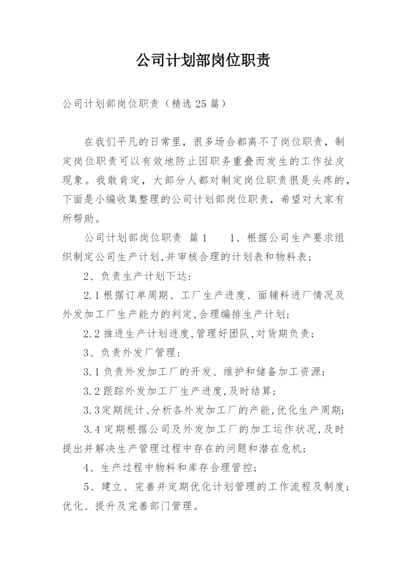 公司计划部岗位职责.docx