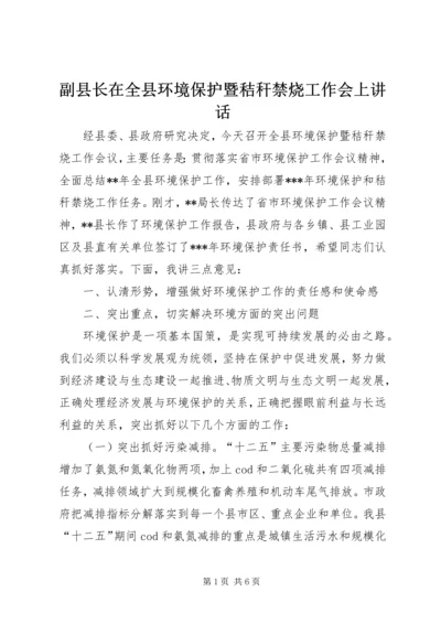 副县长在全县环境保护暨秸秆禁烧工作会上讲话.docx