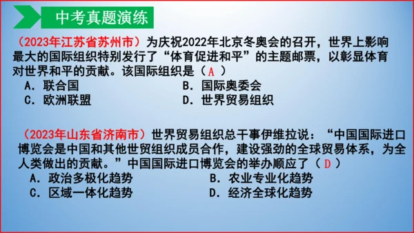 第六单元 走向和平发展的世界  单元复习课件