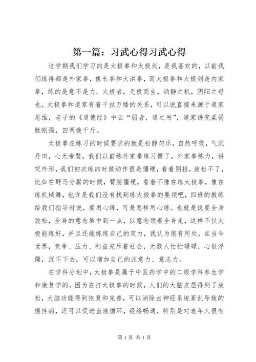 第一篇：习武心得习武心得.docx