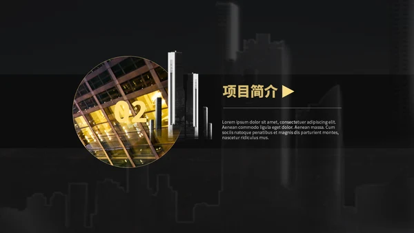 高端大气金色商务项目介绍通用PPT模板