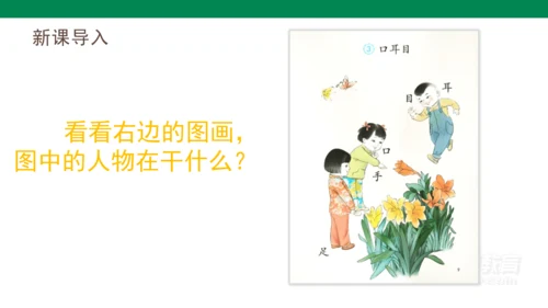 识字3  口耳目   课件