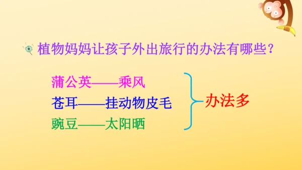 3 植物妈妈有办法  课件
