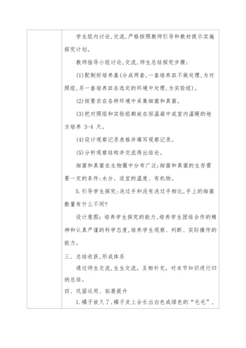 5.4.1细菌和真菌的分布