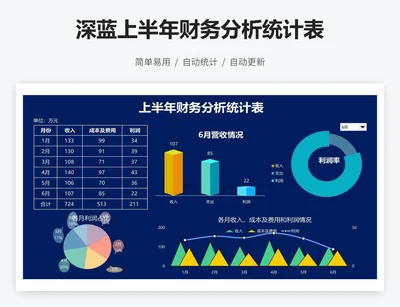 深蓝上半年财务分析统计表