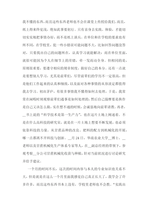 个人寒假社会实践总结范文(七篇实用).docx