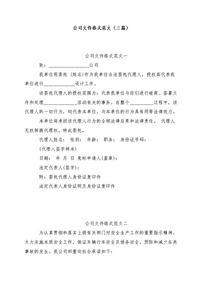 公司文件格式范文（三篇）