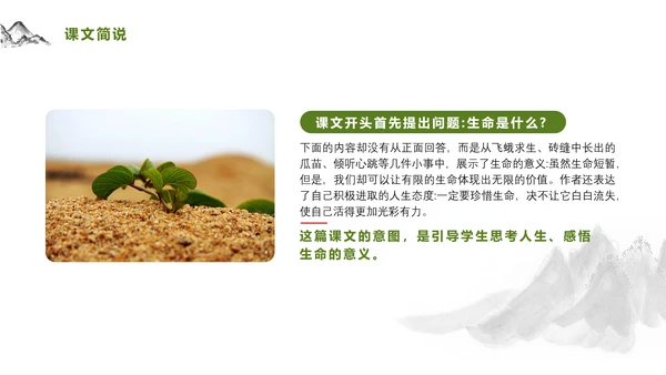 爱护生命保护环境林PPT教学课件