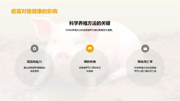 养猪新视角：效率与品质双提升