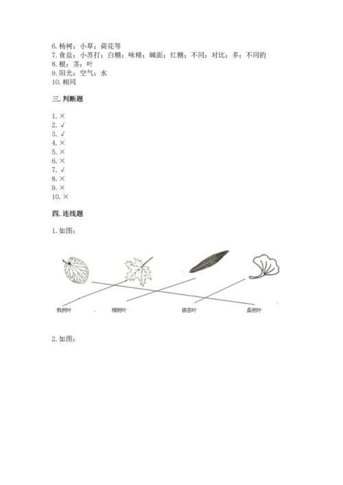 教科版一年级上册科学期末测试卷a4版打印.docx