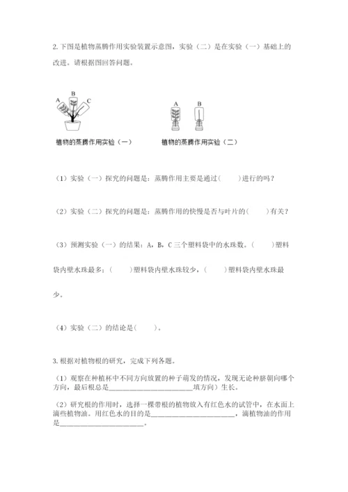 科学四年级下册第一单元植物的生长变化测试卷（有一套）.docx