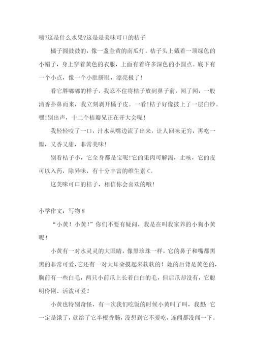 小学作文：写物.docx