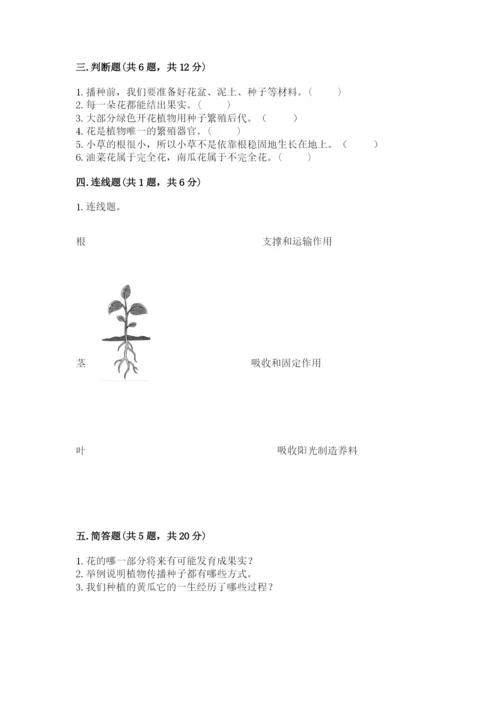 科学四年级下册第一单元《植物的生长变化》测试卷含答案【培优b卷】.docx