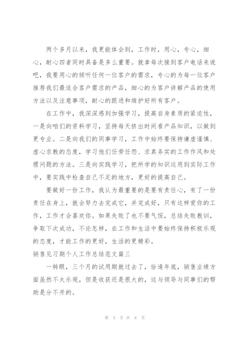 销售见习期个人工作总结范文.docx