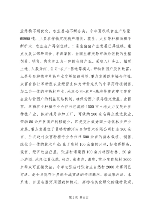 某乡镇乡村振兴规划调研报告.docx