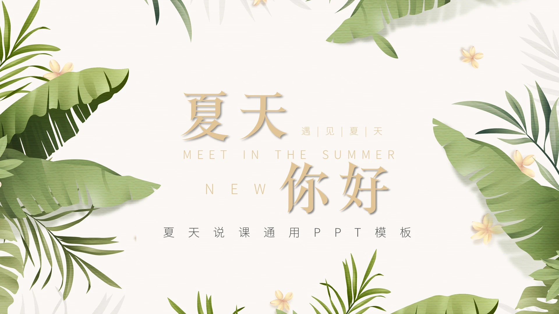 绿色小清新夏天说课通用工作总结PPT模板