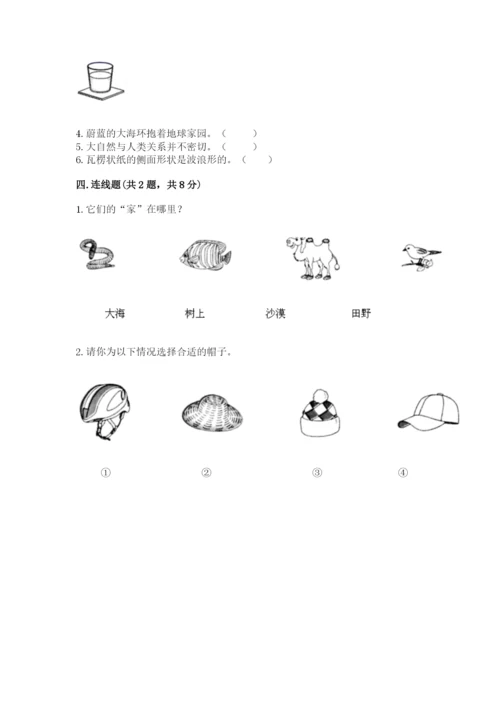 教科版小学二年级上册科学期末测试卷（模拟题）.docx