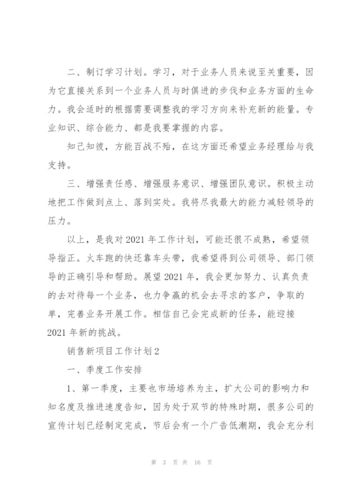 销售新项目个人工作计划6篇.docx