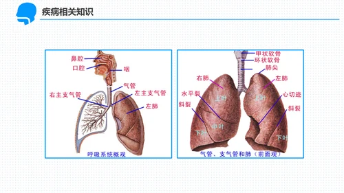 呼吸科护理查房PPT课件（呼吸衰竭）