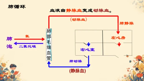 初中生物学人教版（新课程标准）七年级下册4.4.3输送血液的泵──心脏课件(共27张PPT)