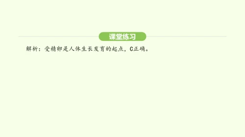 第四单元-第一章-第一节 人的生殖课件-2024-2025学年七年级生物下学期人教版(2024)(共