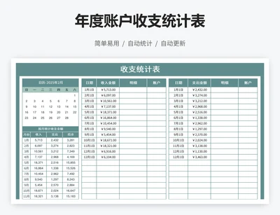 年度账户收支统计表