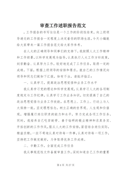 审查工作述职报告范文.docx